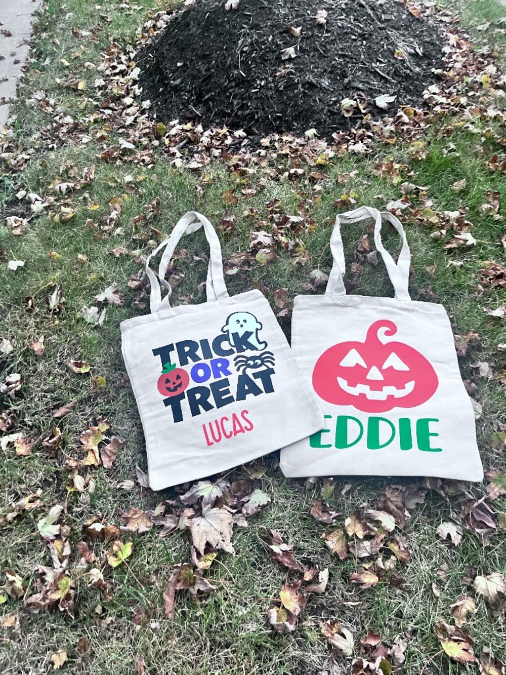 Personalized Halloween Trick Or Treat Tote | Custom Name